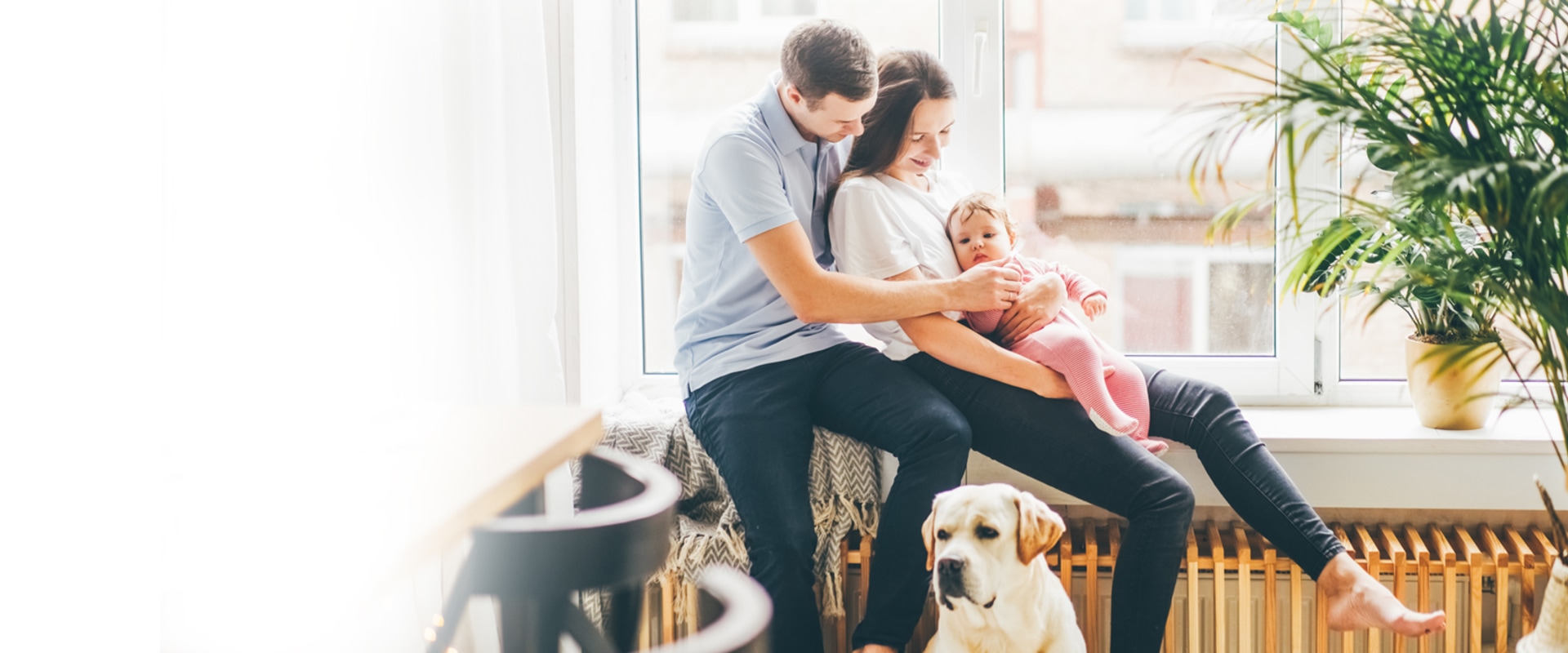 Want Cleaner Air? Furnace Air Filter Replacements for Home That Really Work