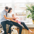 Want Cleaner Air? Furnace Air Filter Replacements for Home That Really Work